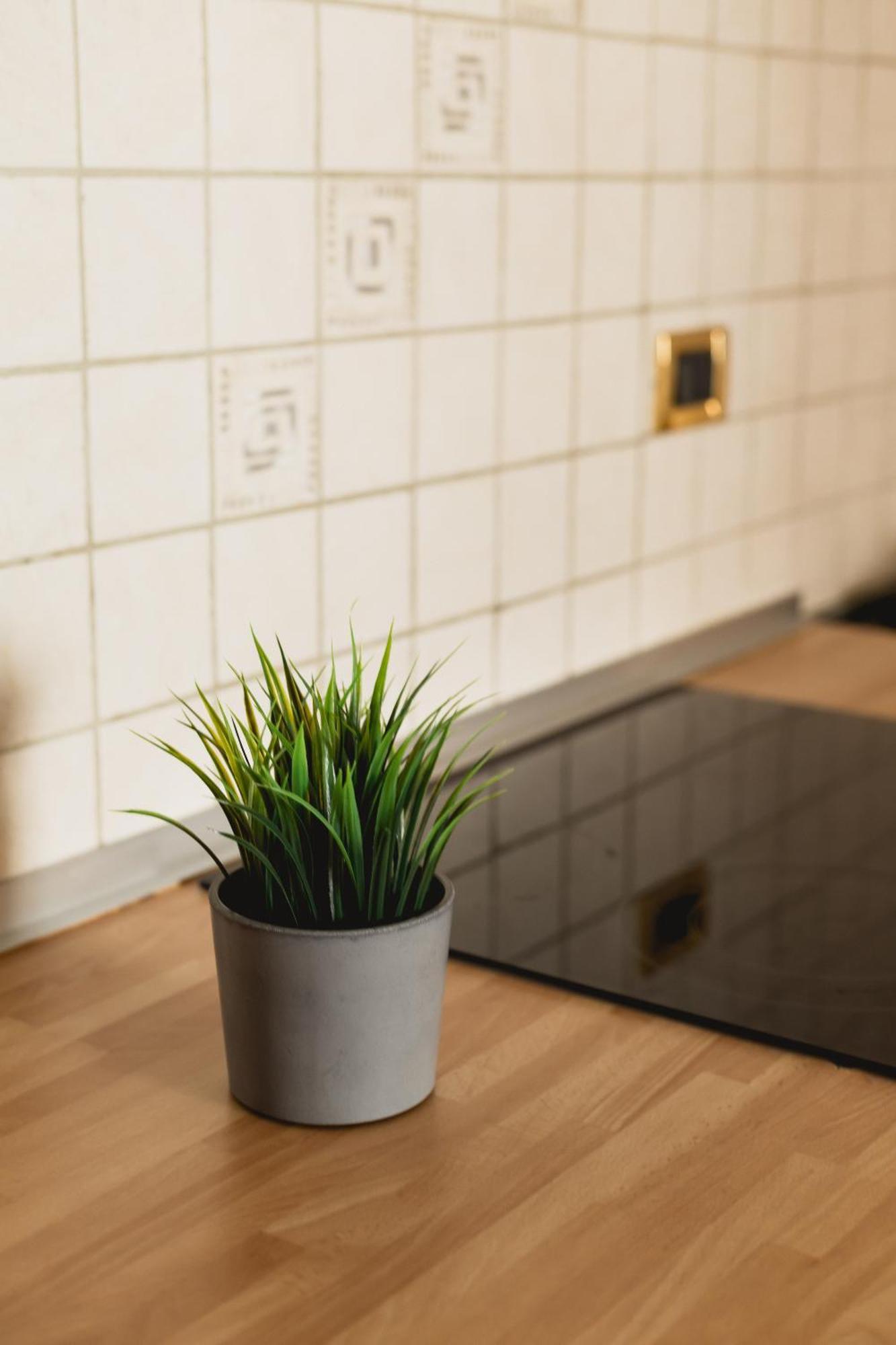 Bergreen Apartments Ossana Luaran gambar